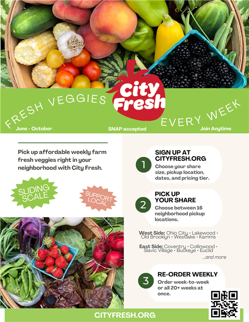 CIty Fresh